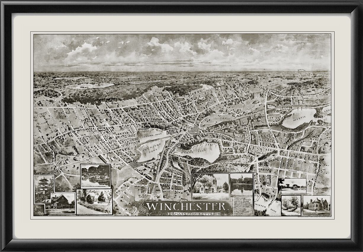 Winchester MA 1898 TM