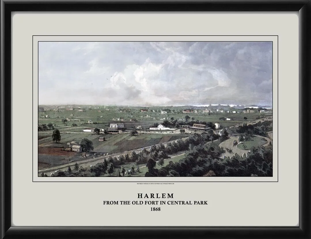 New York City NY 1868 - Harlem