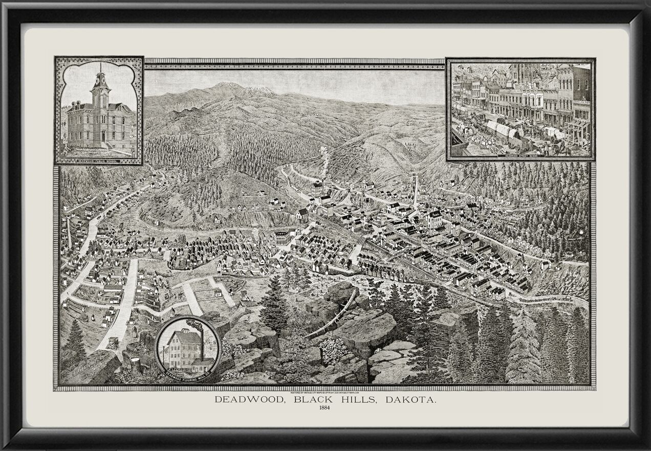 Deadwood, Black Hills SD 1884 W.V. Herancourt TM Birds Eye View Map
