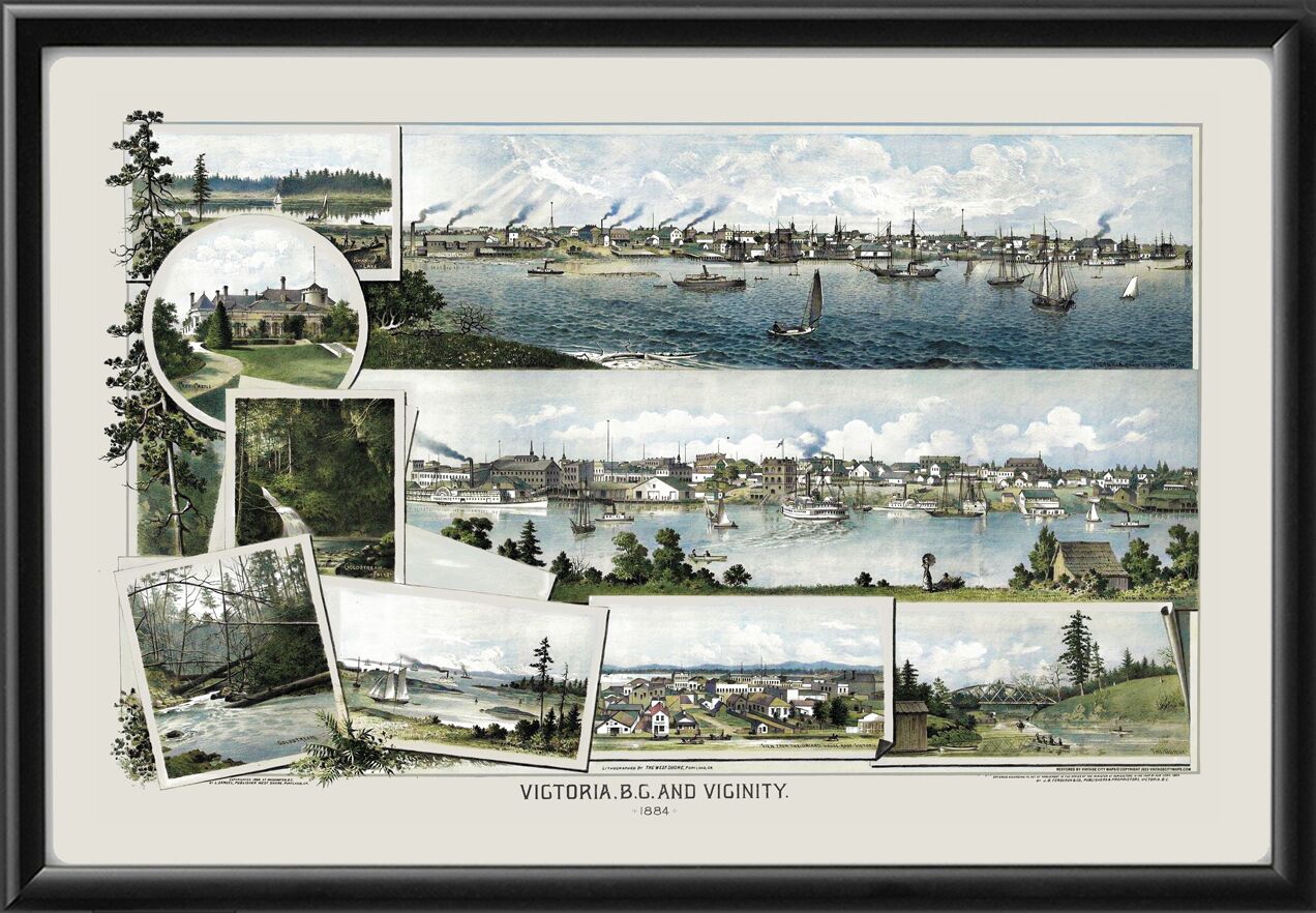 Victoria BC 1884 Leo Samuel color TM Bird's Eye View Map