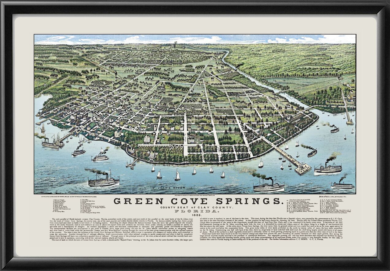 Green Cove Springs FL 1886 Norris and Wellge Birds Eye View Map