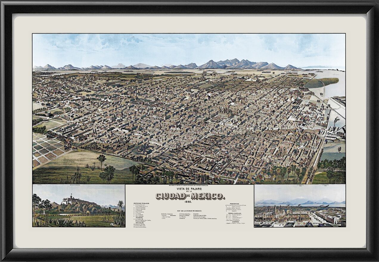 Mexico City 1890 Birds Eye View Map