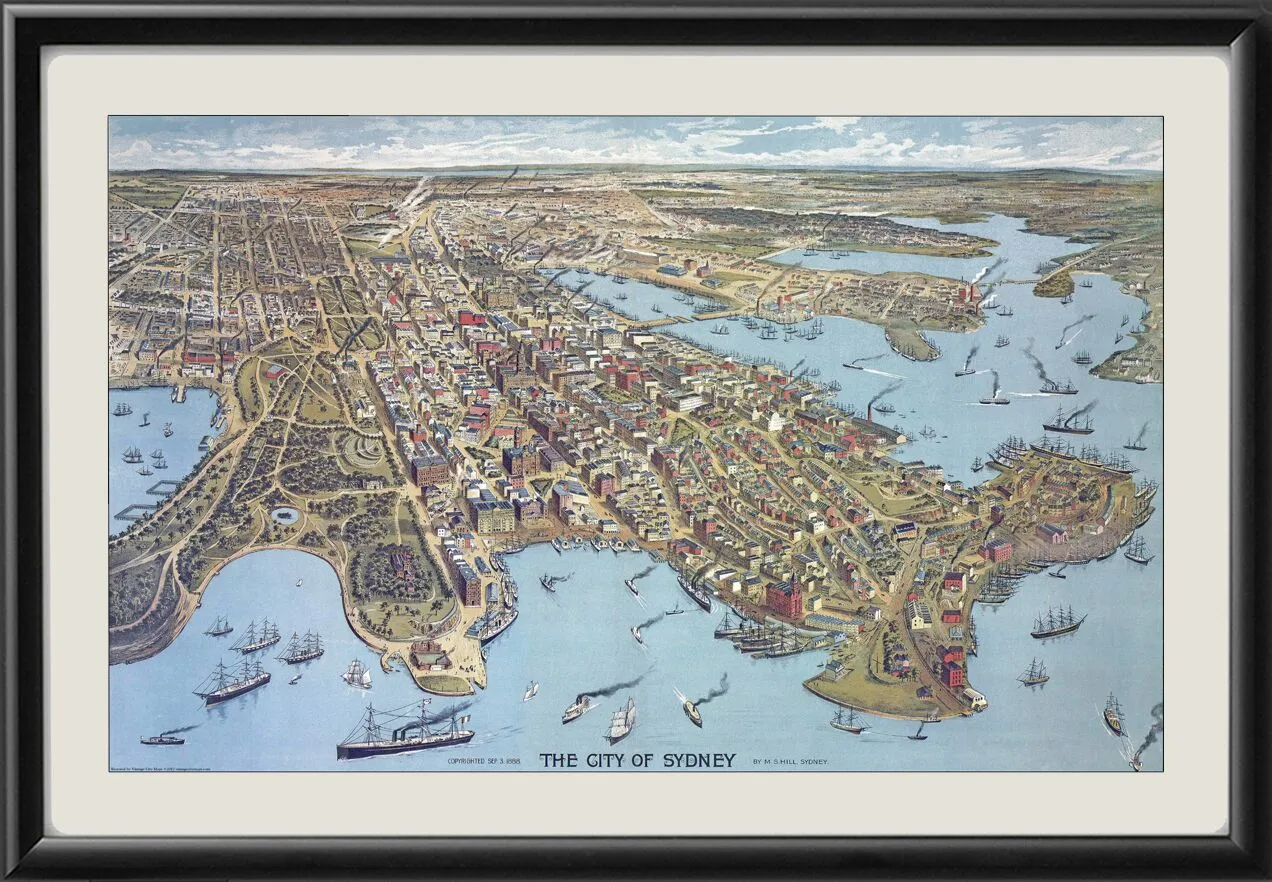 Sydney Australia 1888 MSHill24343650