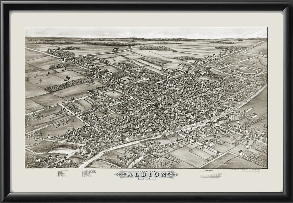 Albion NY 1880 HH Rowley 2436
