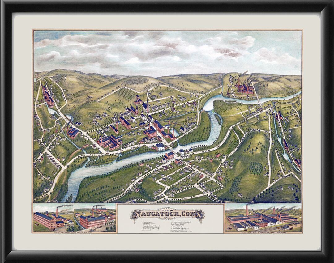Naugatuck CT 1877 TM Birds Eye View Map
