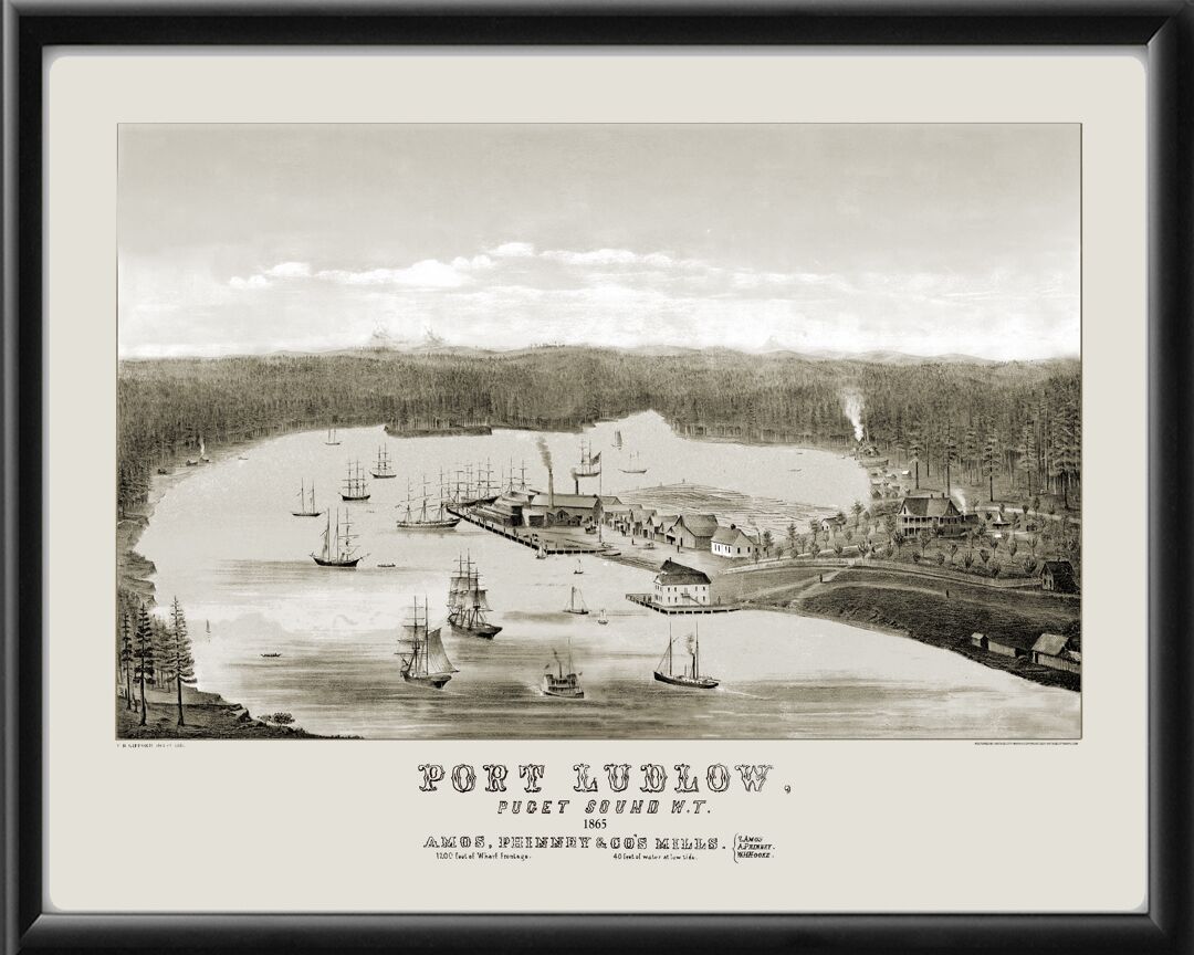 Port Ludlow WA 1865 Birds Eye View Map