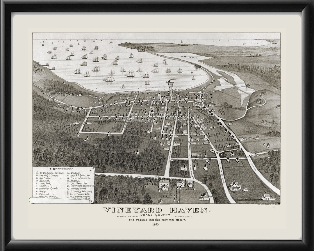 Vineyard Haven, Martha's Vineyard MA 1893 George Walker TM Bird's Eye View Map