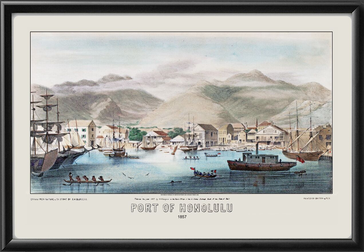 Honolulu HI 1857 GHBurgess TM Bird's Eye View Map