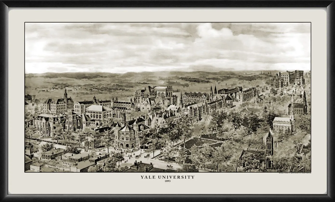 Yale University 1893