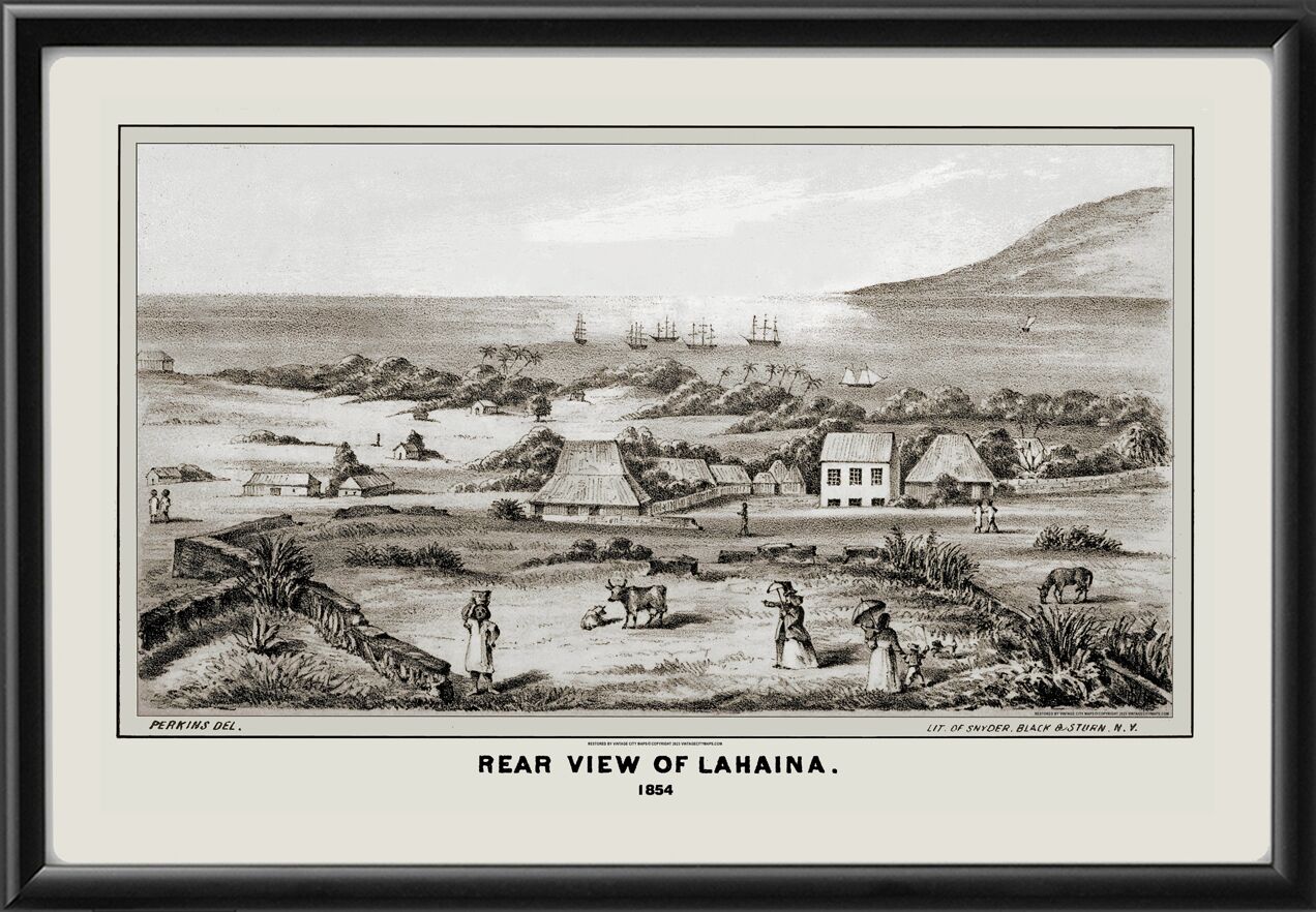 Lahaina Maui Hawaii 1854 Edward T. Perkins TM Bird's Eye View Map
