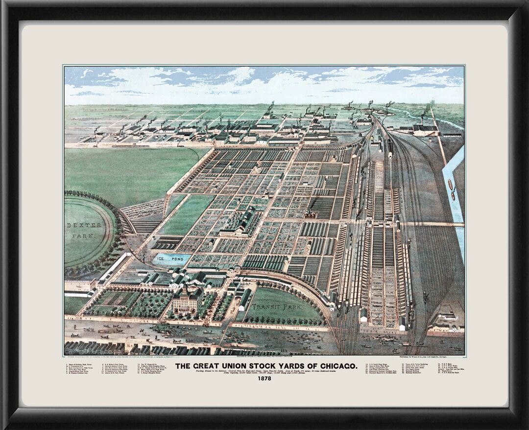 Great Union Stock Yards of Chicago 1878