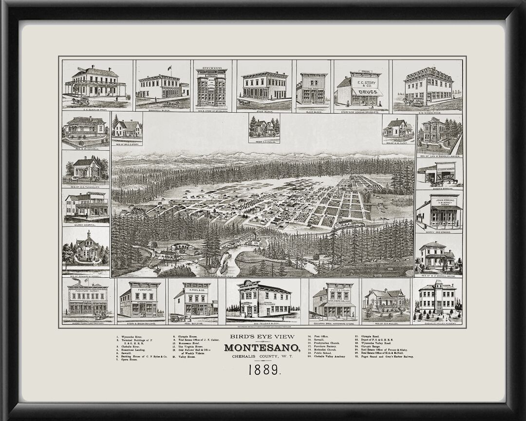 Montesano WA 1889 J.E. Calder TM Birds Eye View Map