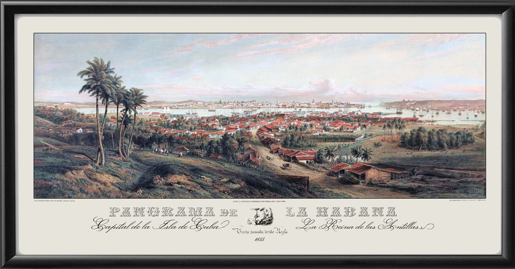 Havana Cuba 1855