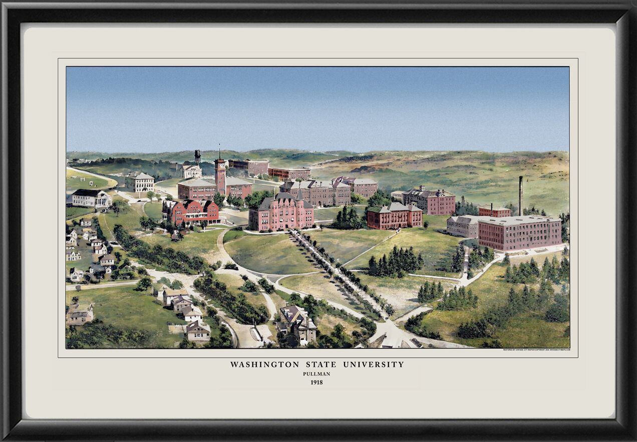 Washington State University 1918 (Color)