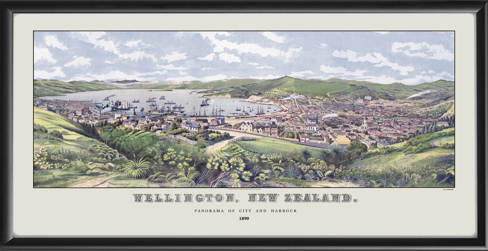 Wellington NZ 1890