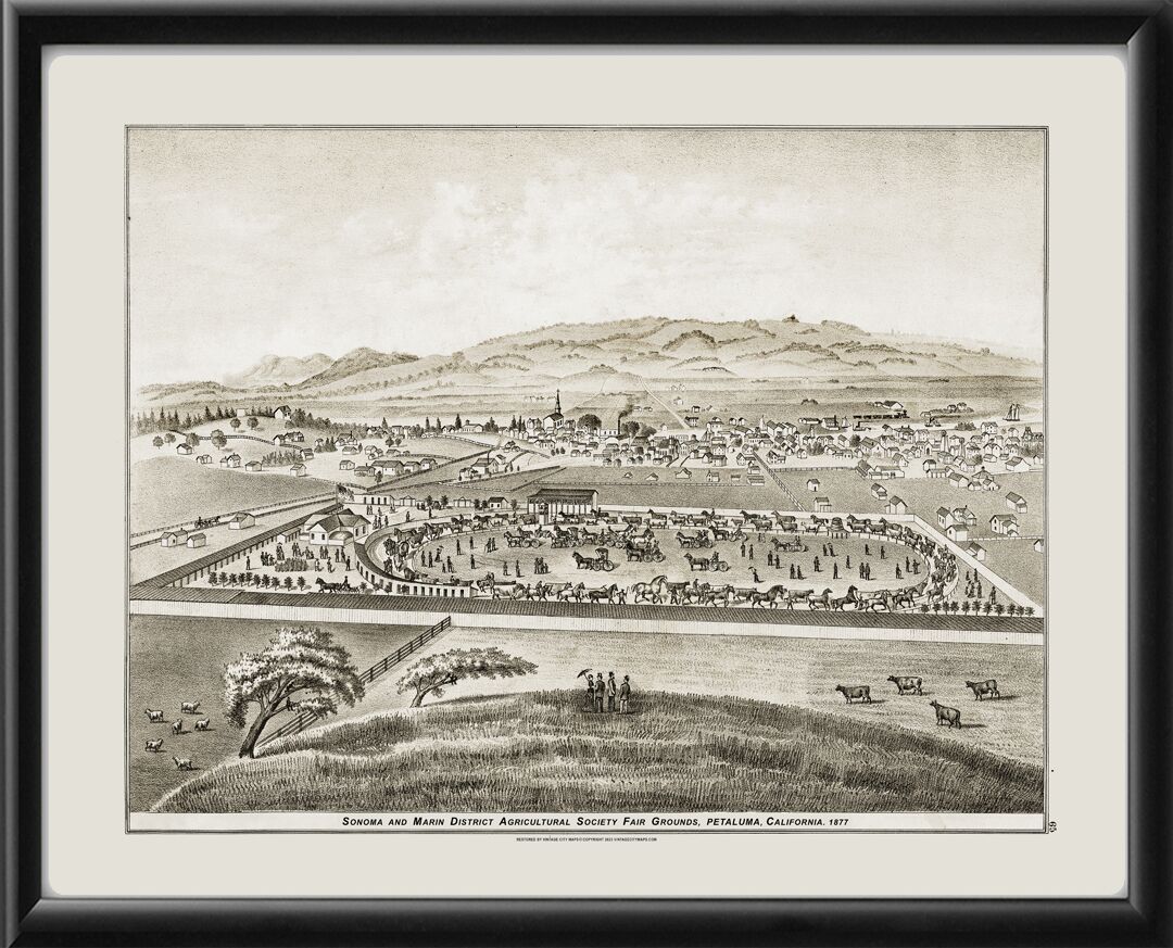 Petaluma CA 1877