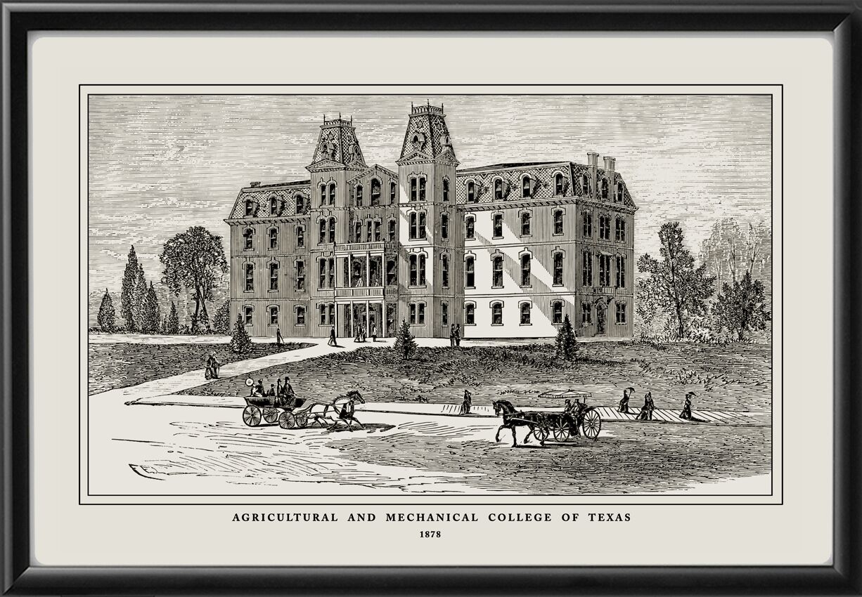 Texas A&M University 1878 Agricultural and Mechanical College of Texas