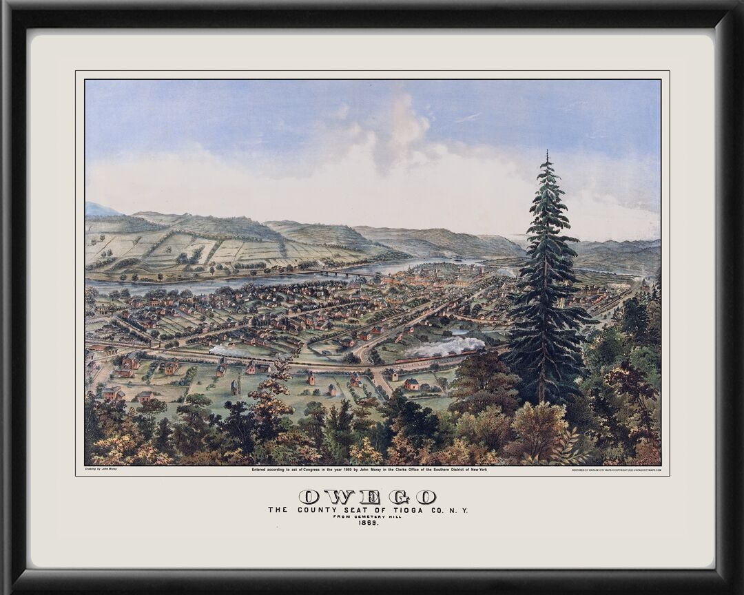 Owego NY 1869