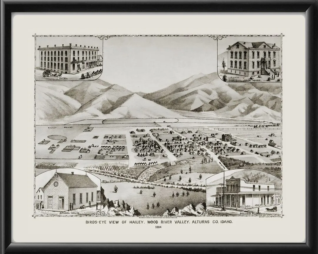 Hailey Wood River ID W.W. Elliott 1884 TM Birds Eye View Map