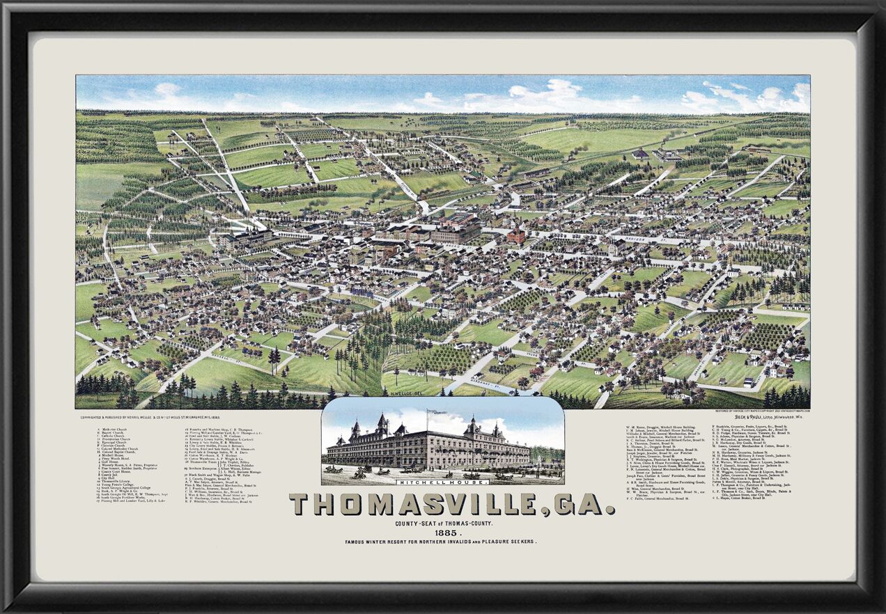 Thomasville GA 1885 Birds Eye View Map