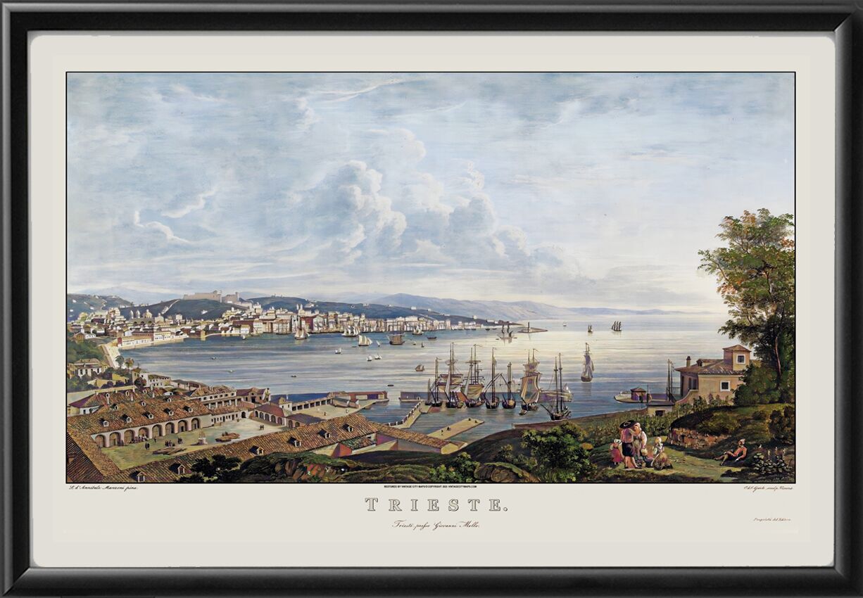 Trieste Italy 1838 Map