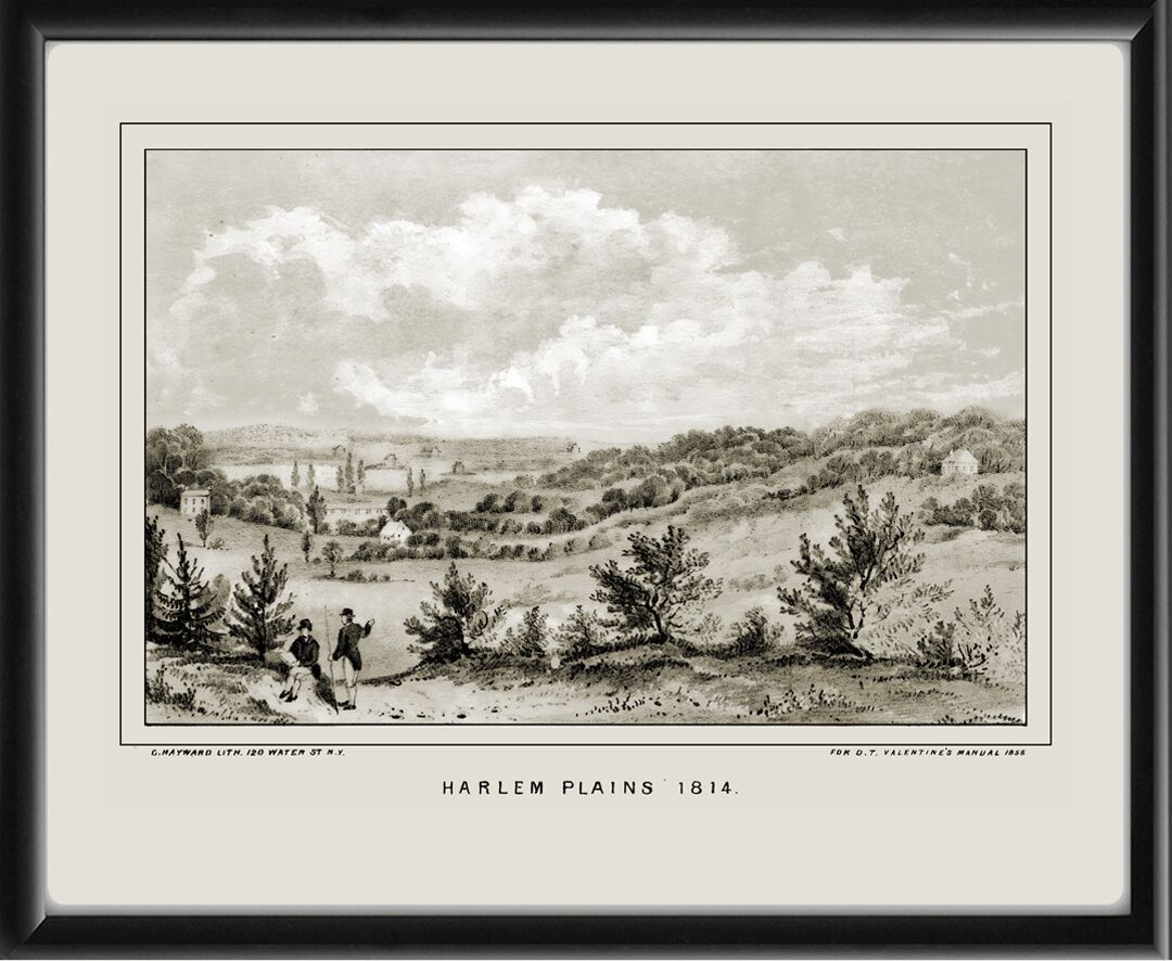 Harlem Plains 1814 published by George Hayward for D.T. Valentine's Manual, 1856.
