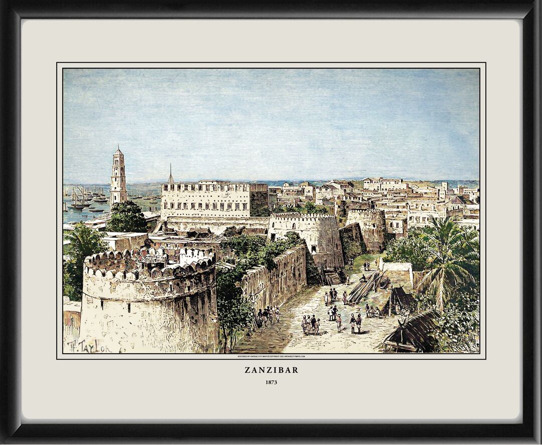 Zanzibar City 1873 Élisee Reclus and Thomas Taylor Color